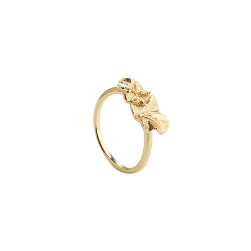 Folio Ring Golden - Aqua Dulce Fingerringe  - 5715446619208
