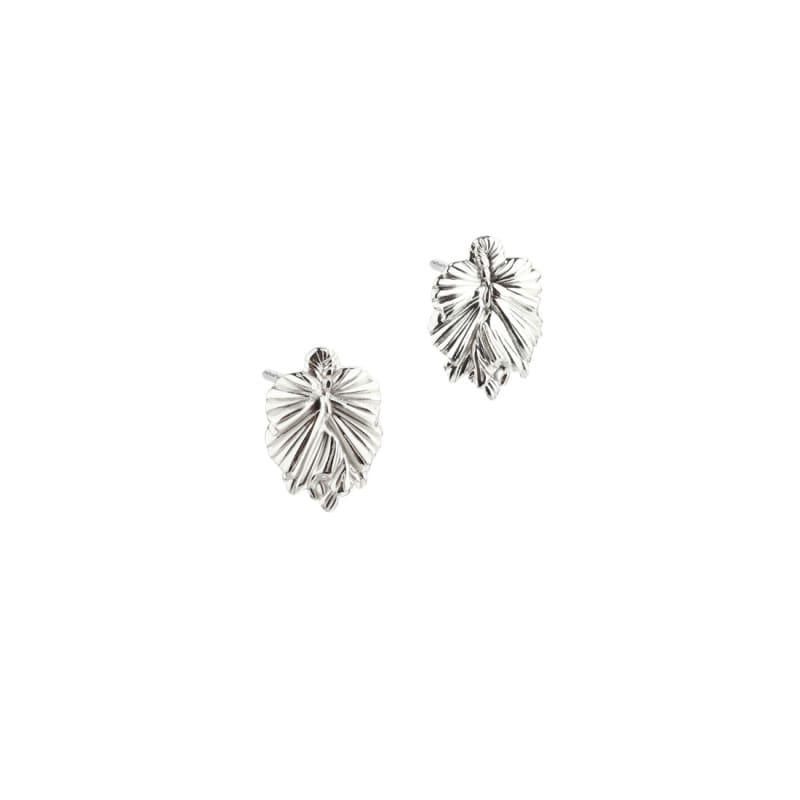 Koi Leaf Silver - Aqua Dulce Øreringe  - 5740013856144