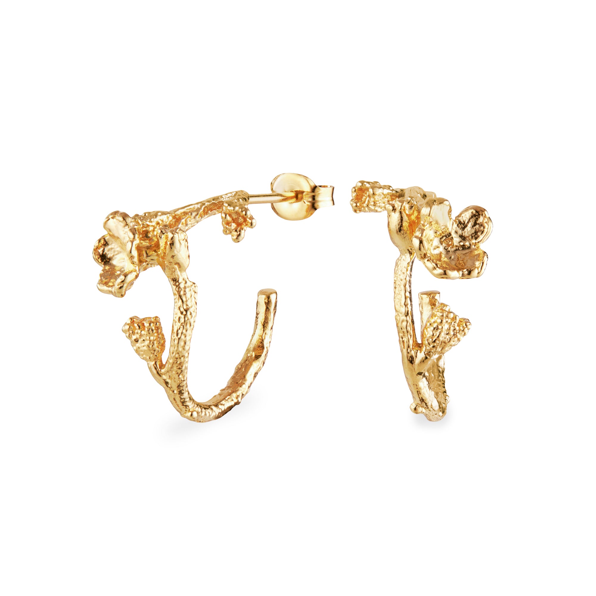 Flora Danica Forglemmigej Hoop øreringe Karat Forgyldt Fmn Hopc - Flora Danica Øreringe  - 1233690223612