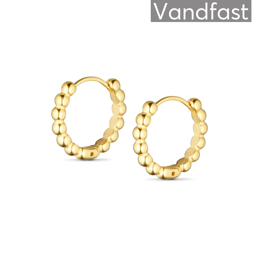 Annebrauner Athen Creole 18k Guldbelagt - Bella Øreringe  - 2005934595231