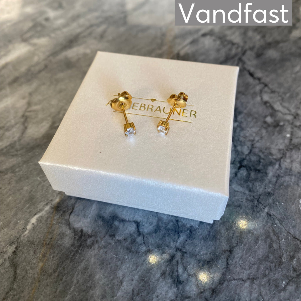 Annebrauner Princess Clear 18k Guldbelagt - Bella Øreringe  - 2000237100199
