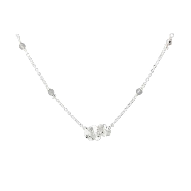 Folio Necklace Silver - Aqua Dulce Halskæder  - 5740013861957