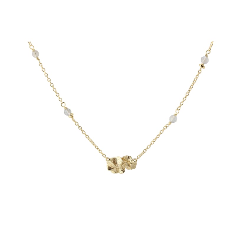 Folio Necklace Golden - Aqua Dulce Halskæder  - 5740013861964