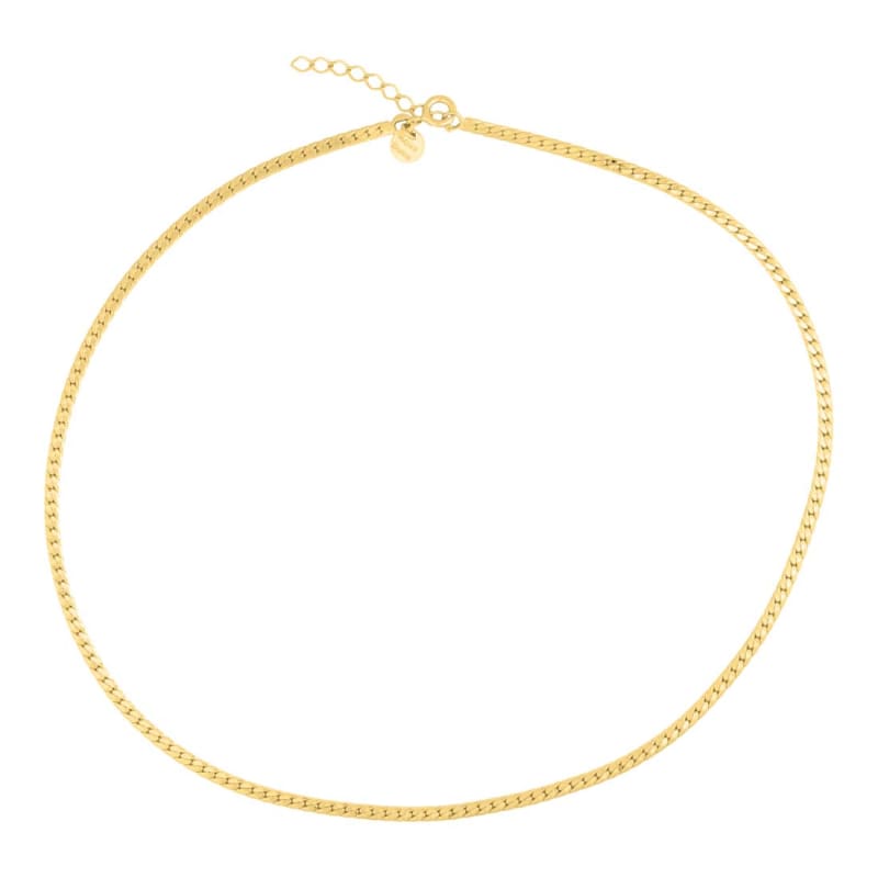 Ellis Necklace Golden - Aqua Dulce Halskæder  - 5740013843984