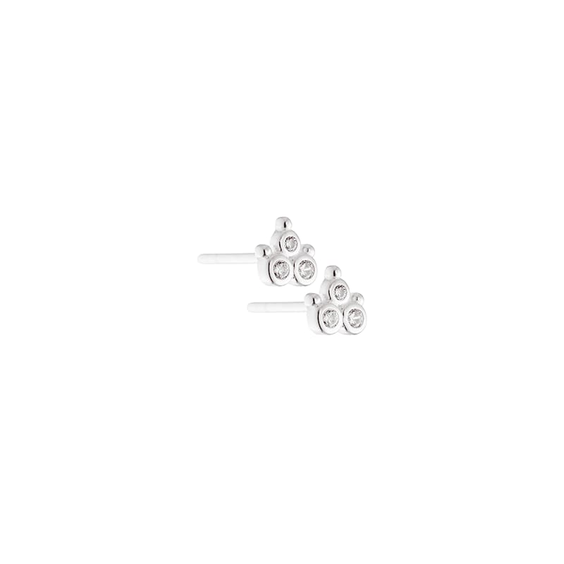 Clear Flower Silver - Aqua Dulce Ørestikkere  - 5740013842178