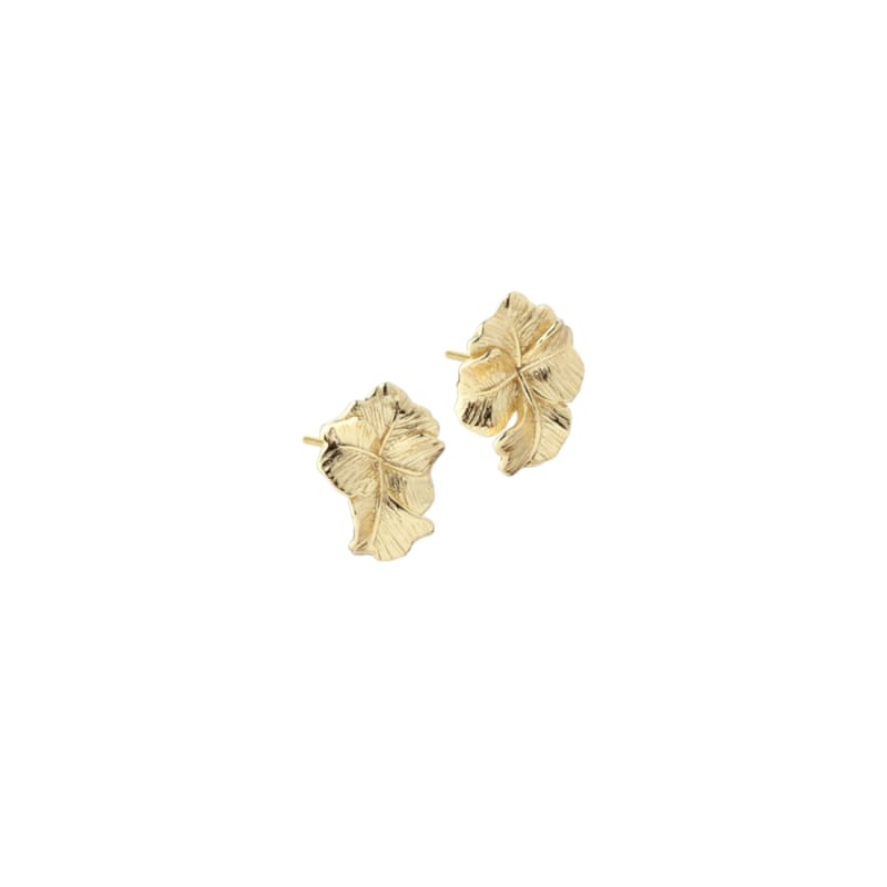 Folio Earstud Golden - Aqua Dulce Ørestikkere  - 5740013861841