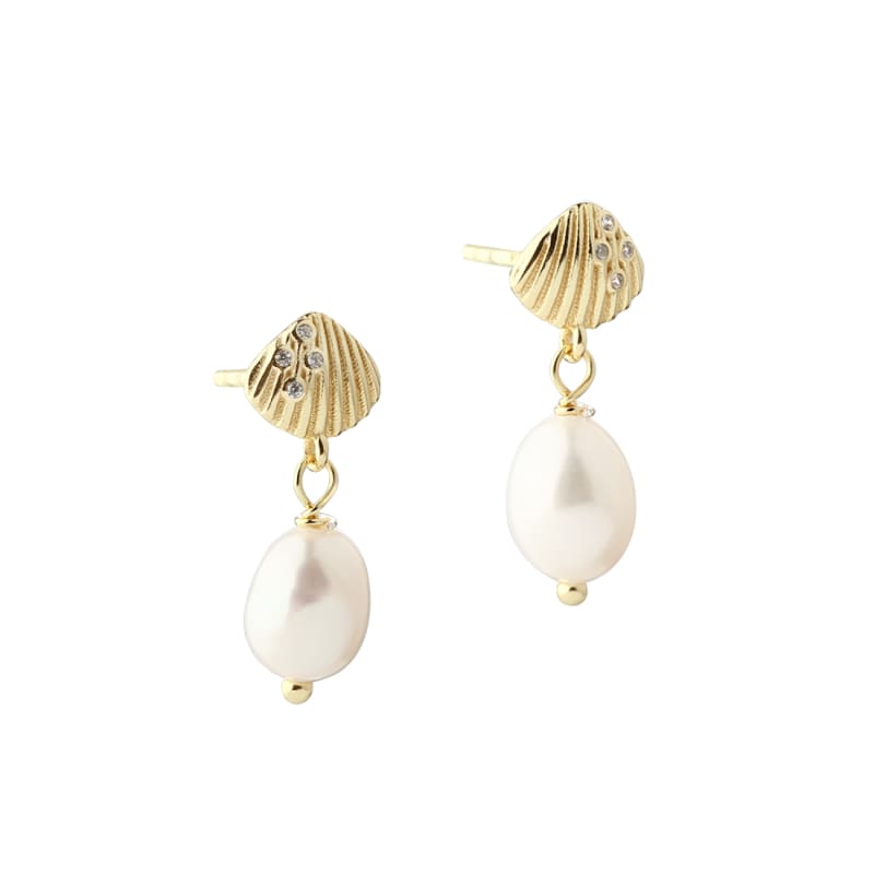 Shelly Pearl Golden - Aqua Dulce Ørestikkere  - 5740013862664