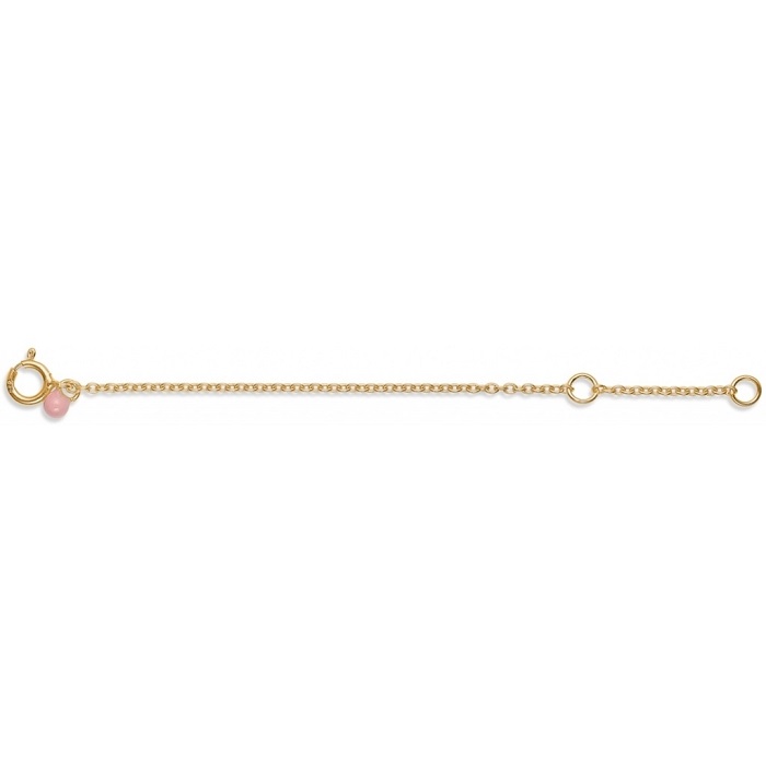 Enamel Extender Anklet Forgyldt B52g - Ankelkæder