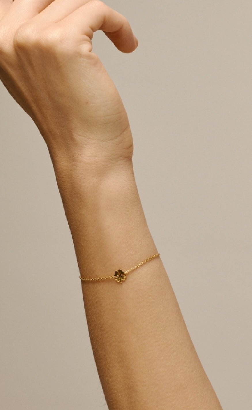 925S/GP/M Enamel Copenhagen Armbånd Four Leaf Clover Gold Colour - Armbånd  - 5714274035778