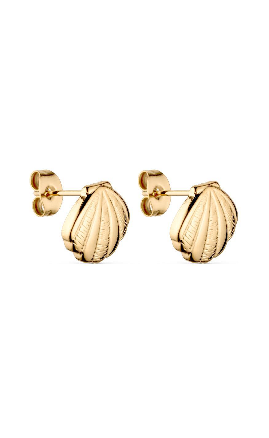 Smykkeli Copenhagen Shell Gold Colour - Øreringe  - 37745225