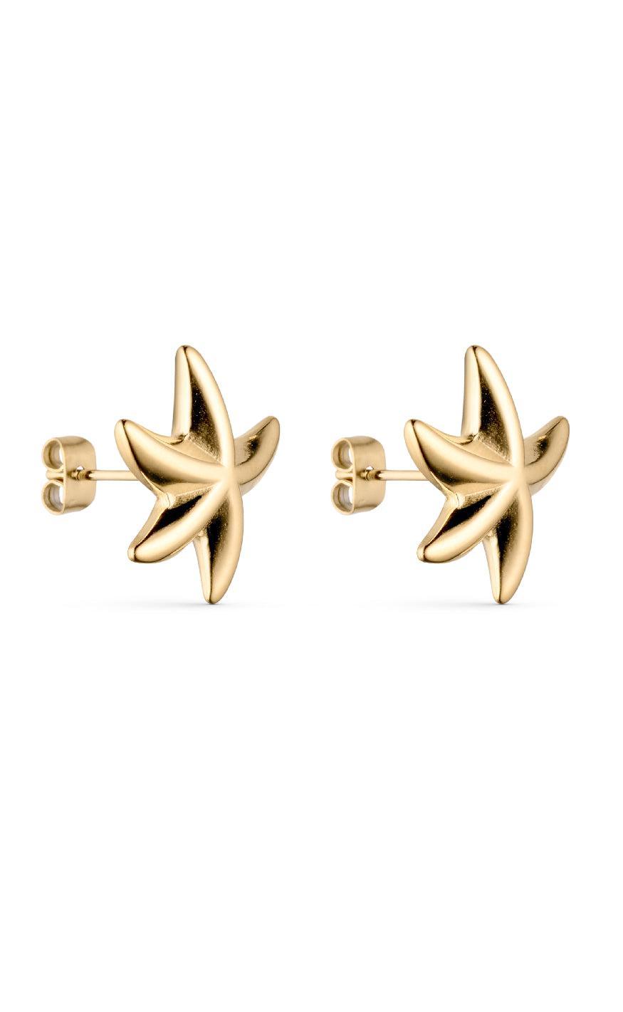 Smykkeli Copenhagen Starfish Gold Colour - Øreringe  - 40202825