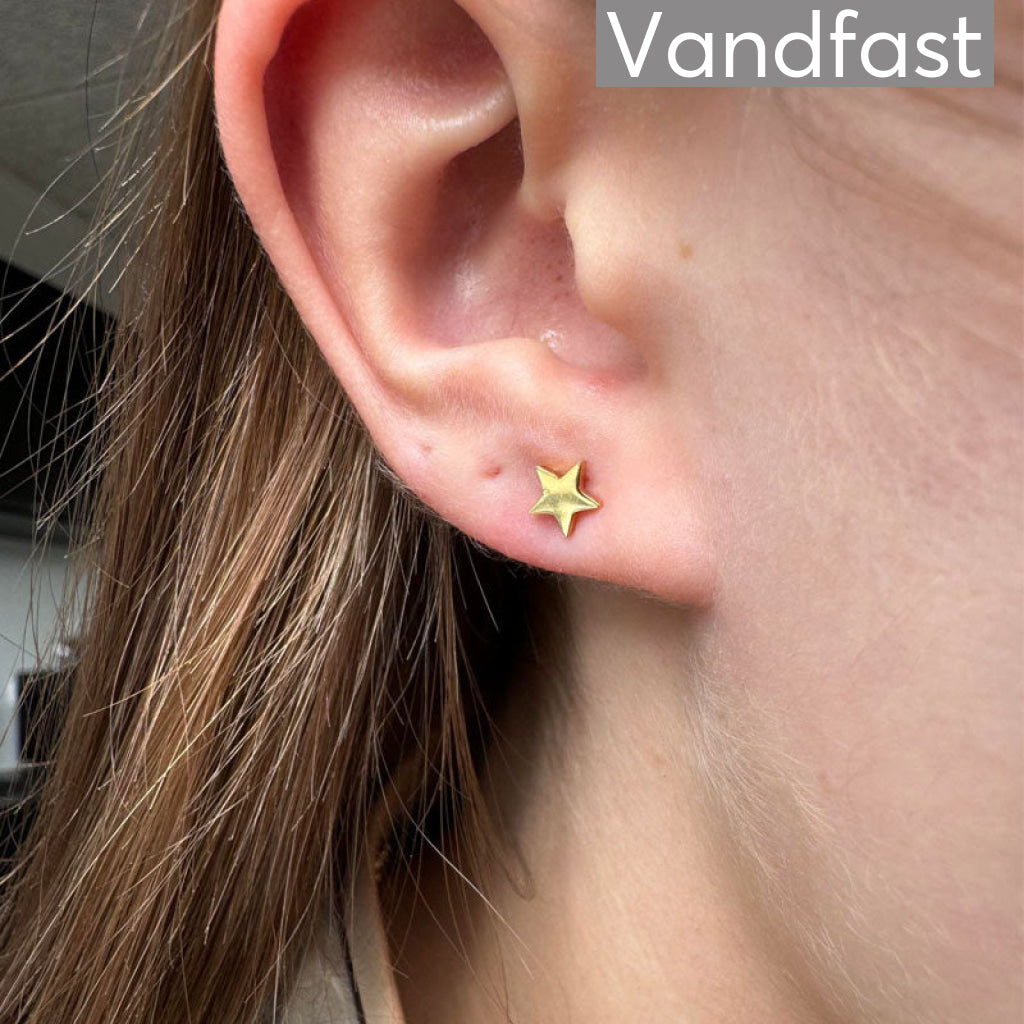 Annebrauner Star Studs - Bella Øreringe  - 2003014510754