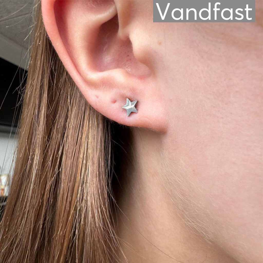 Annebrauner Star Studs - Bella Øreringe - 2003100362915