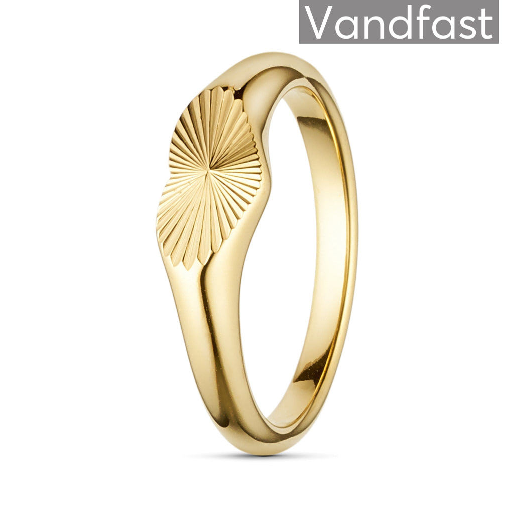 Annebrauner Sun Burst Heart Ring 18k Guldbelagt - Bella Fingerringe  - 2003213130913