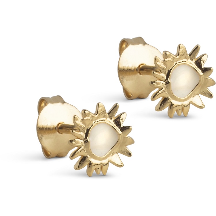Enamel Sunshine øreringe E420gdaisy - Øreringe