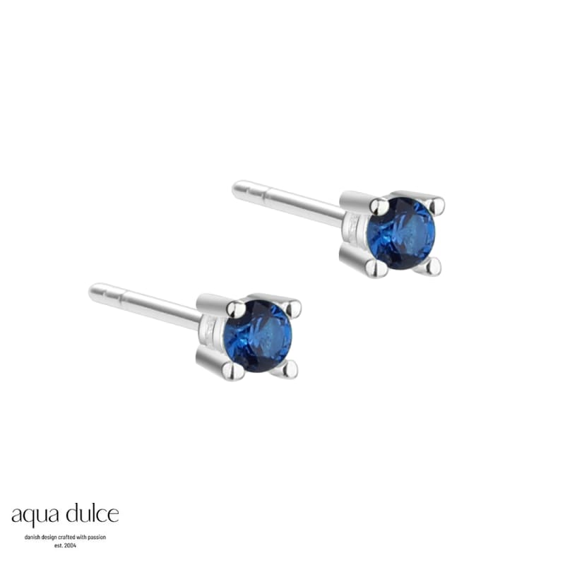 Mini Kaya Dark Blue Silver - Aqua Dulce Øreringe  - 5740013851705
