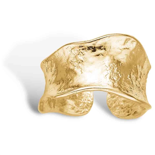 Aiolos Ring Guld - Fingerringe