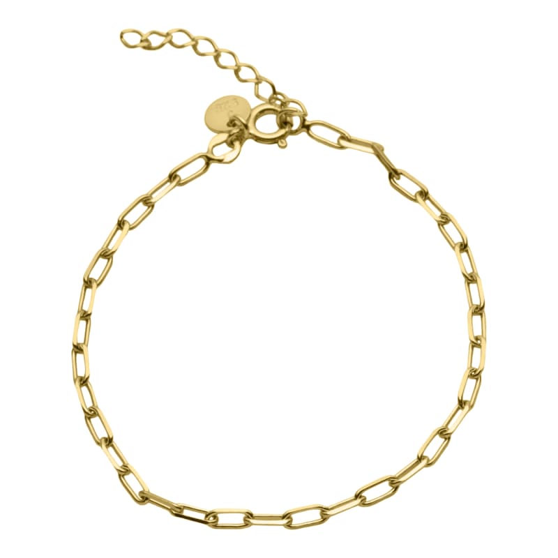 Linky Bracelet Golden - Aqua Dulce Armbånd  - 5740013836146
